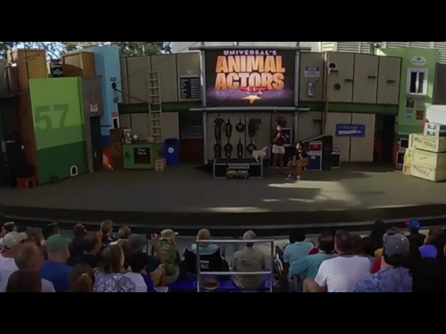 Universal Studios Animal Actors | Full Show in 360°