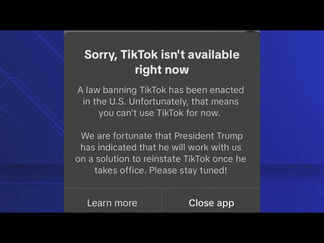 TikTok shuts down in US as ban takes effect