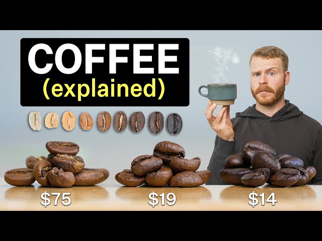 Are you buying the right Coffee Beans? (Beginner's Guide to Coffee)