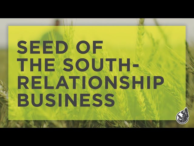 Grain Seed Supplier Commercial - “Seed of the South“ | Terral Seed