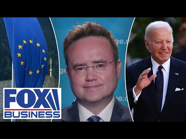 'Big trouble' ahead for Biden as EU sees major far-right shift: Gardiner