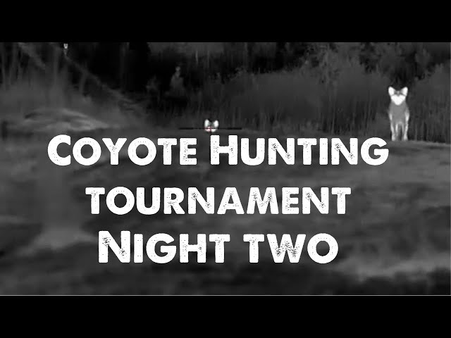 Hunting in the Carolina Coyote Classic! Night 2