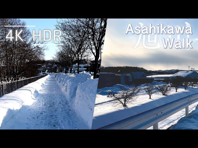 Crunchy Sound Walk on Snow in Lazy Afternoon in Asahikawa, Hokkaido, Japan | 4K HDR