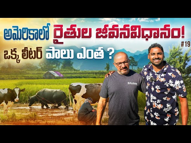 Daily Village Life Farming In California America 🇺🇸 | Uma Telugu Traveller