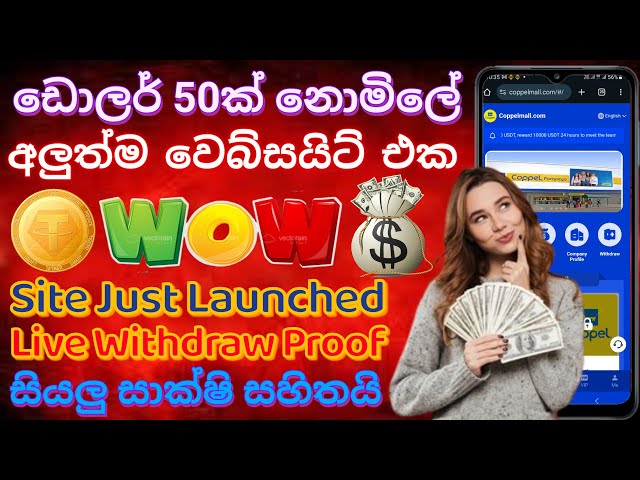 Free USDT Earn Site 2024 | Online Jobs at Home | How to Make Money Online | Emoney 2024