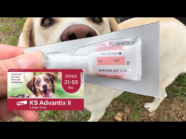 How to APPLY K9 Advantix Dog Flea Tick Medication!