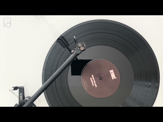 Beyoncé (feat. Jay Z) - Drunk In Love [Vinyl Visualizer]