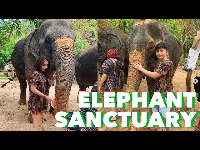 LAST DAY IN THAILAND AT AN ELEPHANT SANCTUARY!