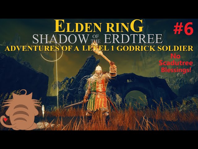 Rune Level 1 No Scadutree Blessing Godrick Soldier Cosplay! (PC)Elden Ring: Shadow of the Erdtree!