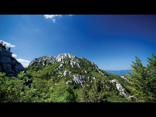 180 VR - Croatia 2020 - 6/6 - Risnjak national park/Rijeka town