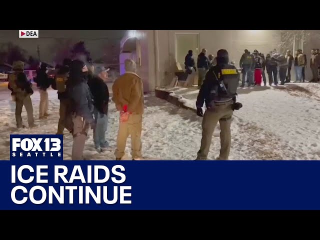 Immigration crackdown: ICE raids continue | FOX 13 Seattle