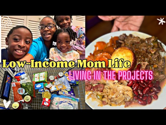 DAY IN THE LIFE OF A LOW-INCOME MOM:GROCERY HAUL,FOOD STAMP RECIPES, & JUICING ON A BUDGET