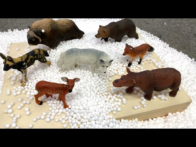 Zoo Wild Animals Toys For Kids Learn Animal Names