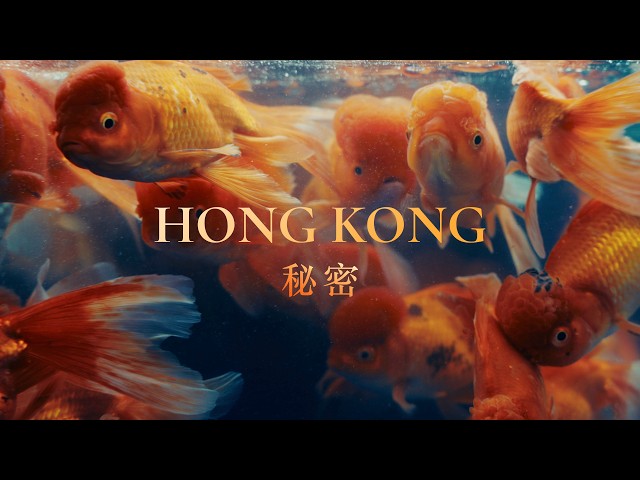 Secrets of Hong Kong | CINEMATIC Short Film - Sony FX3