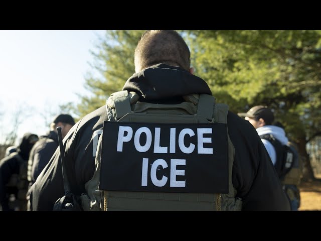 ICE arrests 8,700 people in 19 cities across the US