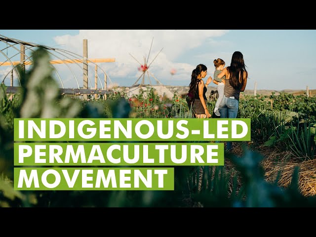 Indigenous-led Permaculture Brings Resilience And Food Sovereignty to Pine Ridge Reservation