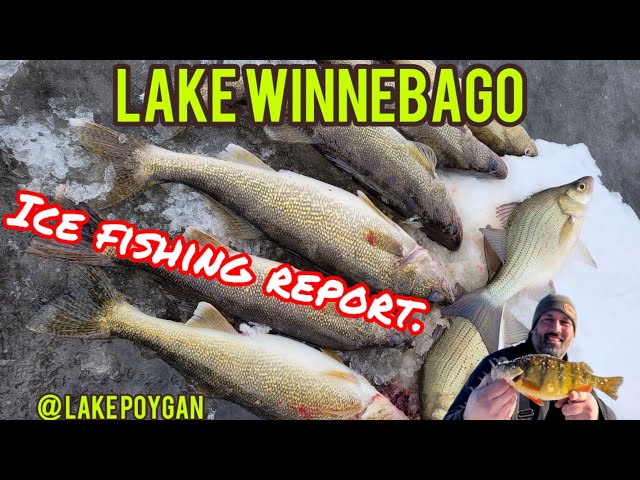 Lake Winnebago @ Lake Poygan ice conditions @ ice fishing report !! 1/30/2025