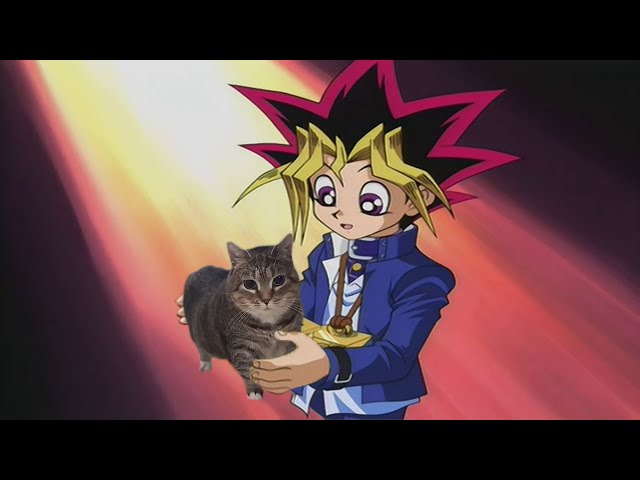 Oiia Cat x Yugioh Remix