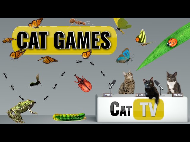 CAT Games | Ultimate Cat TV Bugs and Butterflies Compilation Vol 5 🪲 🐞🦋🦗🐜 | Videos For Cats to Watch