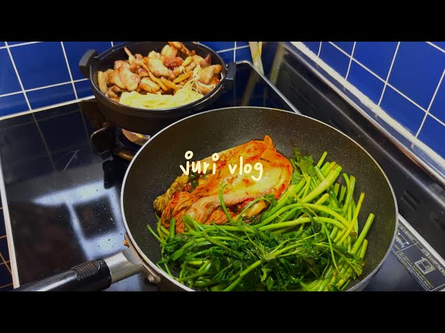 ENG৹KOREAN COOKING VLOG | the summer of June 🥣 Making food at home 🥘Pork belly, Webfoot octopus