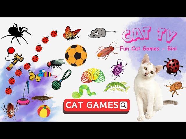 CAT GAMES | Keep your cat happy and healthy and funny | 11 HOURS 🐝😻🐭⚽🦇🕷🦎 CAT TV