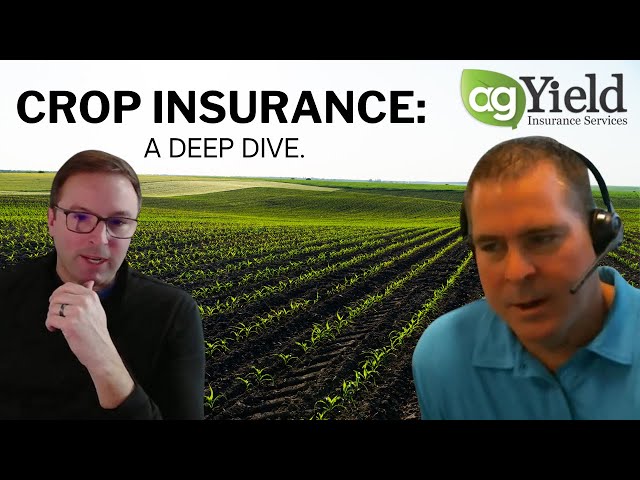 Farmers need a crop insurance strategy revamp now more than ever. Here's why.