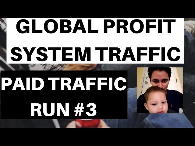 Global Profit System Traffic Results - Global Profit System Paid Traffic Run #3