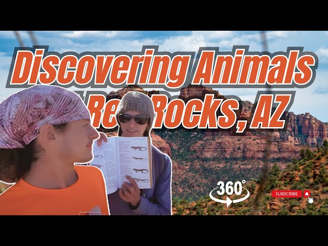 Exploring Red Rocks State Park - A 360° VR Adventure | Sedona, Arizona (Hike 360° VR Video)