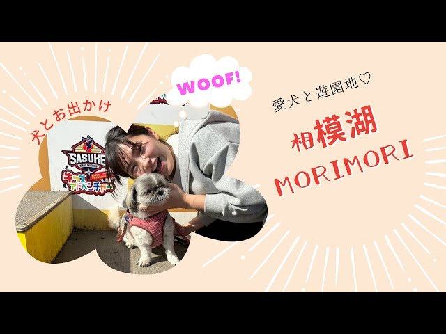 【Cute Dog Shih Tzu】 I went to Sagami Lake MORIMORI 【Outing】