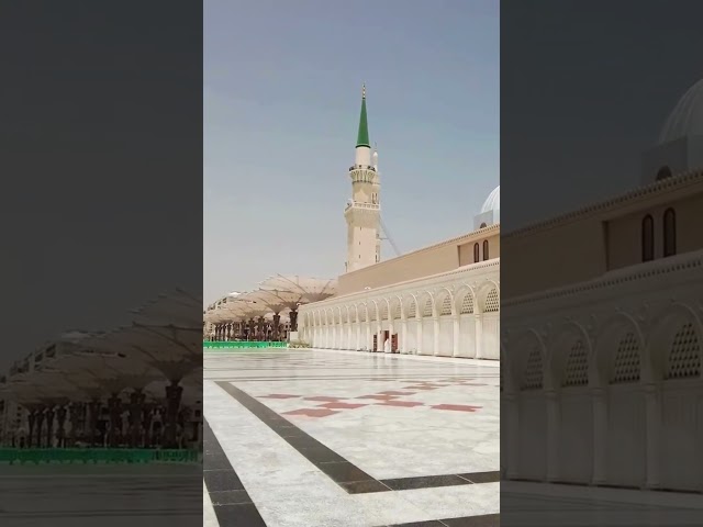 #masjidnabawi #shortvideos #youtubeshorts #trending #video #viral