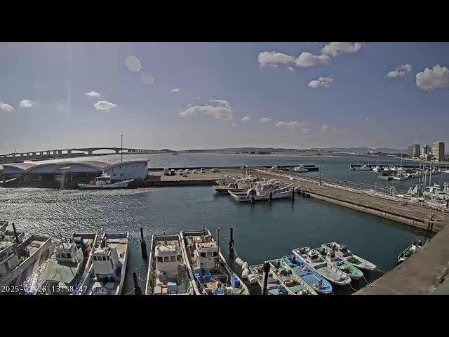 浜名湖  舞阪漁港  浜名大橋24hライブカメラ「魚あら」より配信