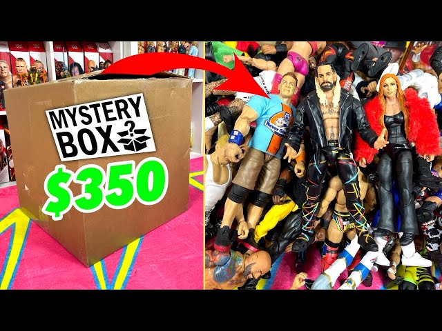 MASSIVE $350 WWE Figure MYSTERY Box Unboxing!