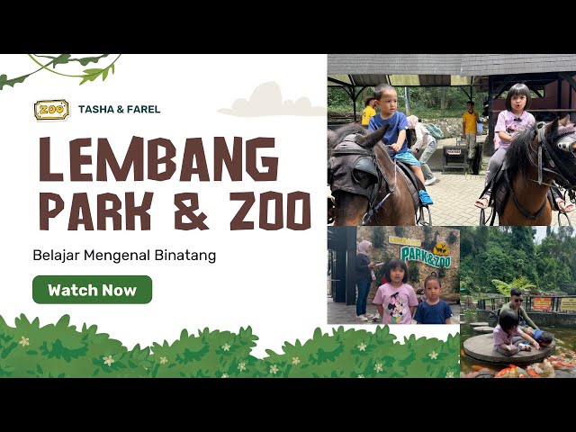 BELAJAR MENGENAL BINATANG DI LEMBANG PARK & ZOO