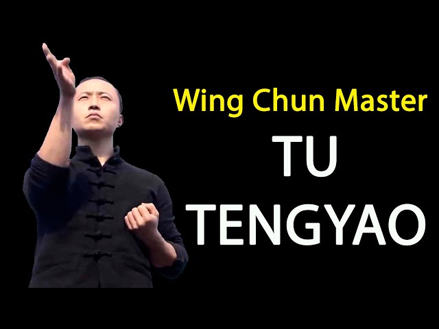 TU TENGYAO The Best - Wing Chun Master