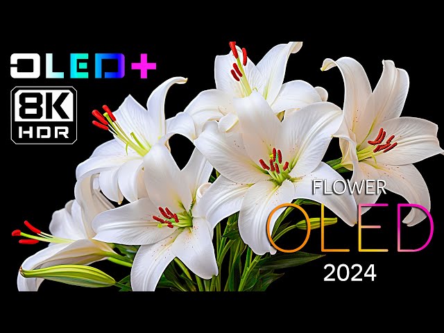 BEST OF OLED - Gorgeous Floral Blossoms in 8K HDR | Dolby Vision™