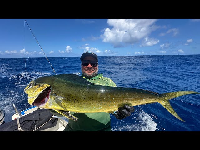 DIA DE MUITA AÇÃO NO CORRICO, E O DOURADO COMEÇOU A APARECER 🎣🎣🎣