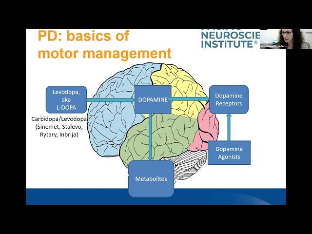 Everything Parkinson’s Webinar: Update On Medications for Motor Symptoms of Parkinson's Disease