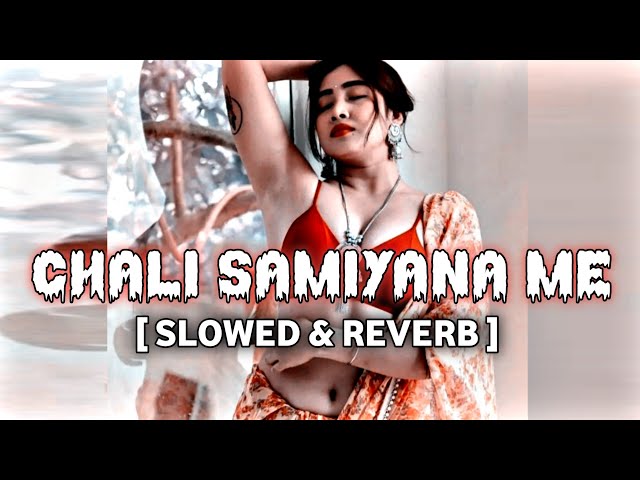 Chali  Samiyana Me #lofi | (Slowed+Reverb) || Bhojpuri Lofi Song