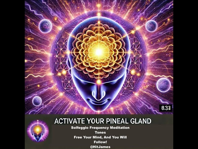 🎵 ✨ Listen to This Everyday for 1 Week & Watch Your Energy Shift! ✨ 🎵