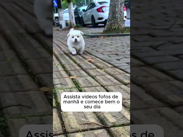 Seu dia vai ser um pouco melhor agora 😍❤️