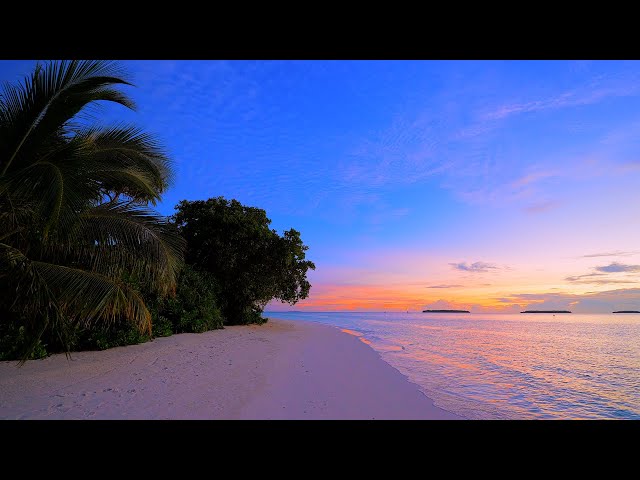 🏝 Beach Screensaver From a Tropical Remote Island Paradise