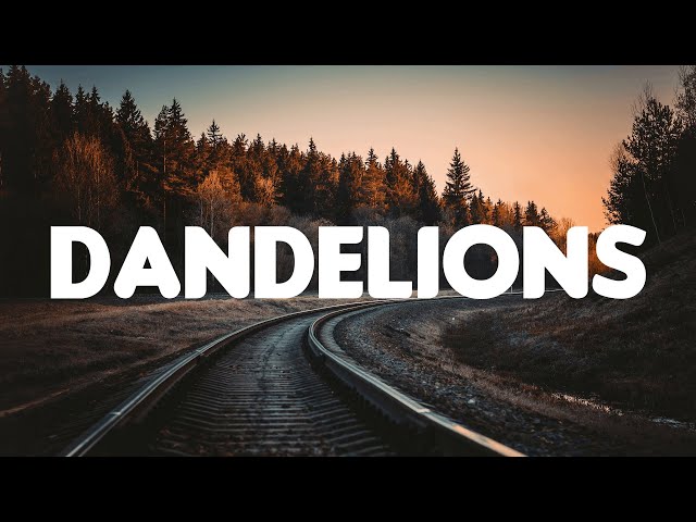 Dandelions - Ruth B. [Lyrics] | Shawn Mendes, Ellie Goulding, Calvin Harris