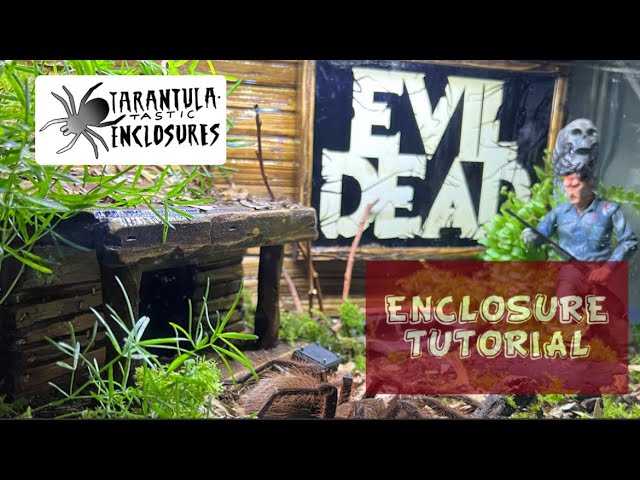 Evil dead tarantula enclosure tutorial in exo terra habisphere