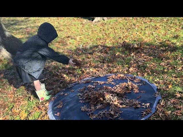 January Days on the Farm