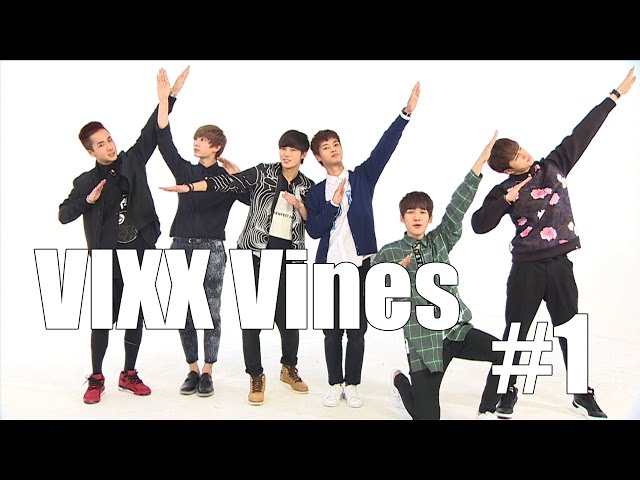 VIXX Vines #1