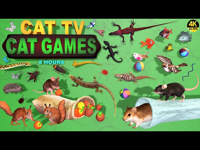 CAT TV | CAT GAMES OFFICIAL POPULAR VIDEOS BEST CLIPS & SPIKES COMPILATION FOR CATS TO WATCH 4K