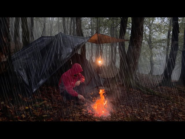 SOLO CAMPING in RAIN [ cozy relaxing TentTarp Shelter,ASMR ]