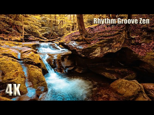 Stream of Dreams | Forest Water Sounds with Gentle Waterfalls for Relaxation