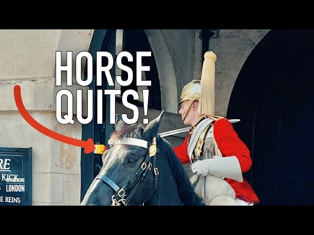 King’s guard HITS Panic Button 2X! No Answer. king's guard horse Quits | king’s Guard | Horse guards