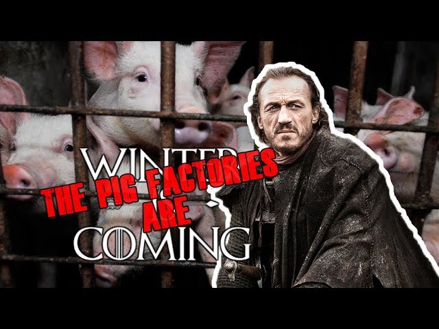 Games of Thrones star leads campaign against factory farming